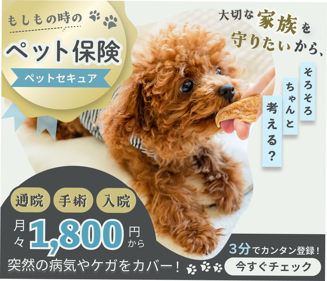 ペット保険写真